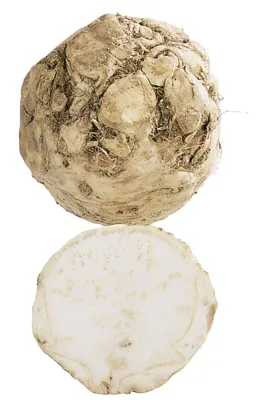 Sellerirot Terning 1kg Kg