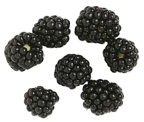 Bjørnebær 125g