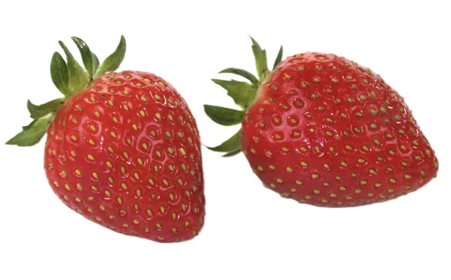 JORDBÆR IMPORT KURV 500G JORDBÆR IMPORT KURV 500G