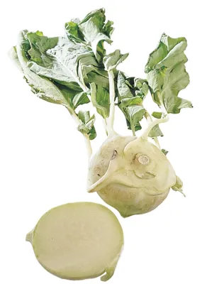 KNUTEKÅL KG* KNUTEKÅL KG*