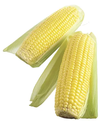 MAISKOLBER FERSK 2PK STK MAISKOLBER FERSK 2PK STK