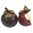 MANGOSTEEN KG