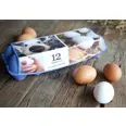 EGG M12 12STK 696G