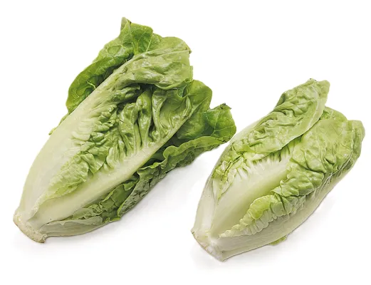 Salat Hjertesalat Pk