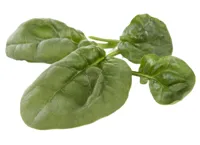 SPINAT 250G