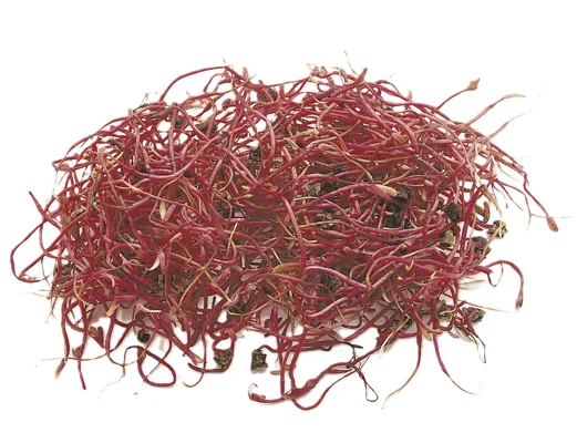 RØDBETSPIRER 50G PK RØDBETSPIRER 50G PK