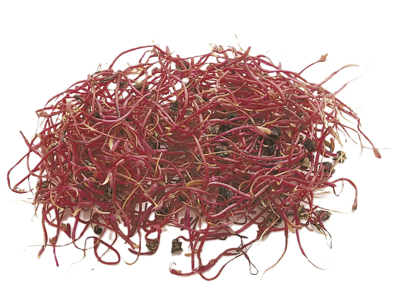 RØDBETSPIRER 50G PK