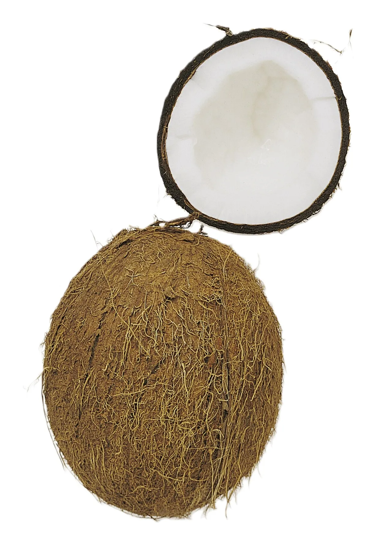 KOKOSNØTT STK