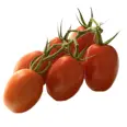 TOMATER PLOMME KLASE KG