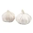 HVITLØK 100G PK