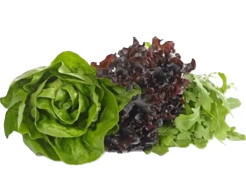 SALAT TRIPPEL PK SALAT TRIPPEL PK