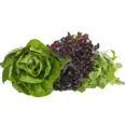 SALAD TRIPPEL PK