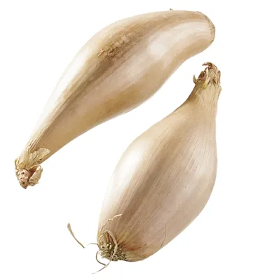 Banan Sjalottløk Kg