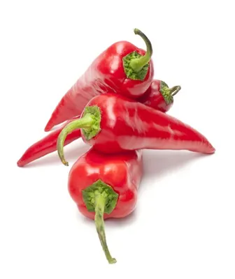 Paprika Rød Snack 2stk Pk