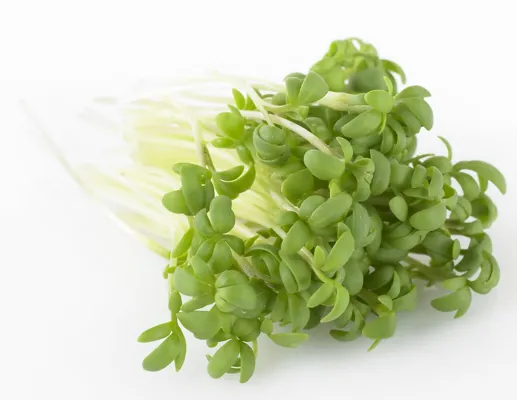 Karse Grønn 100g Stk