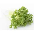 CRESS 100G