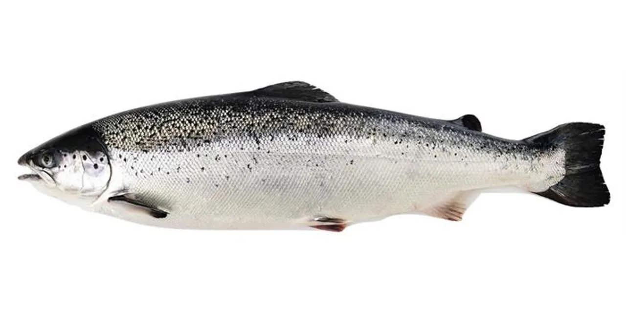 LAKS HEL 3-4KG