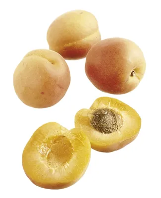 Aprikoser Ferske Kg