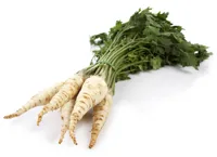 PERSILLEROT LØSVEKT KG