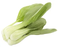 PAK CHOY STK