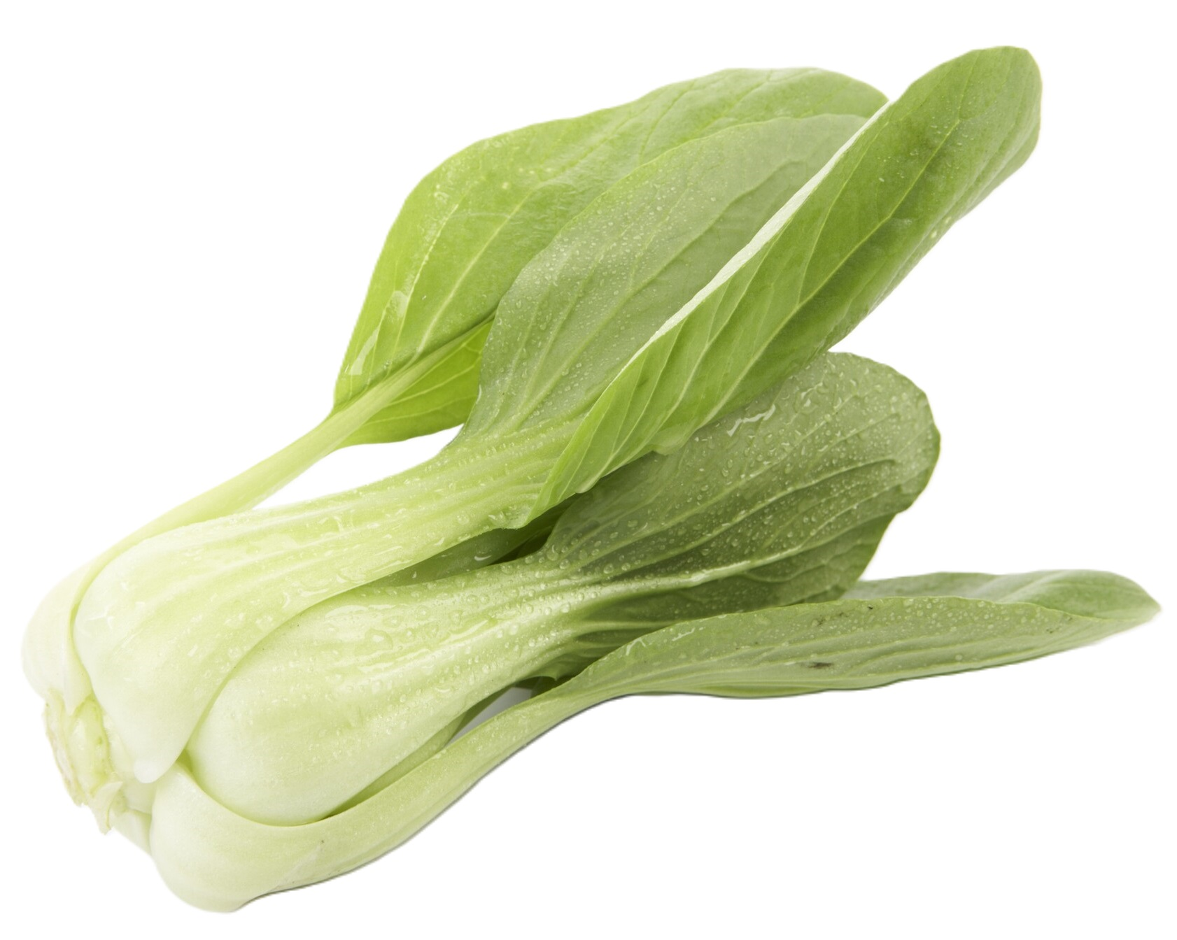 PAK CHOY STK
