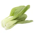 PAK CHOY STK