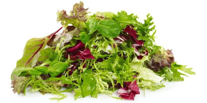 Salat Mix Blader 2kg