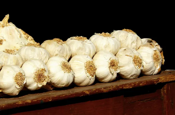 Hvitløk I Flette 1kg Stk