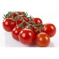 TOMATER ROMANTIC KG