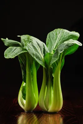 CHOI SAM KG CHOI SAM KG