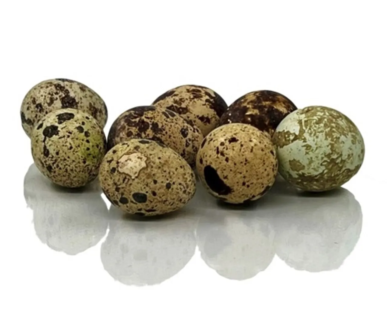 EGG VAKTEL 12 STK NORSKE
