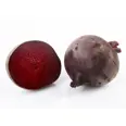 RØDBETER ØKOLOGISK KG