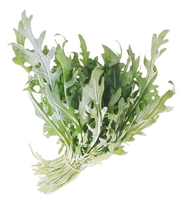 SALAT RUCCOLA 200G SALAT RUCCOLA 200G