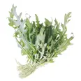 SALAT RUCCOLA 200G