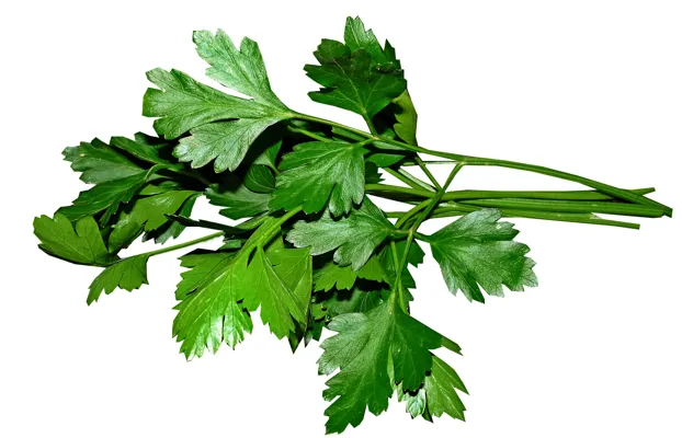 Bladpersille Bunt Flowpakket 200g