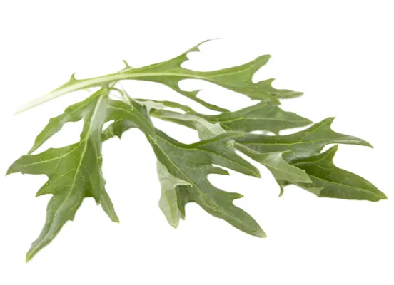 Salat Mizuna 100g