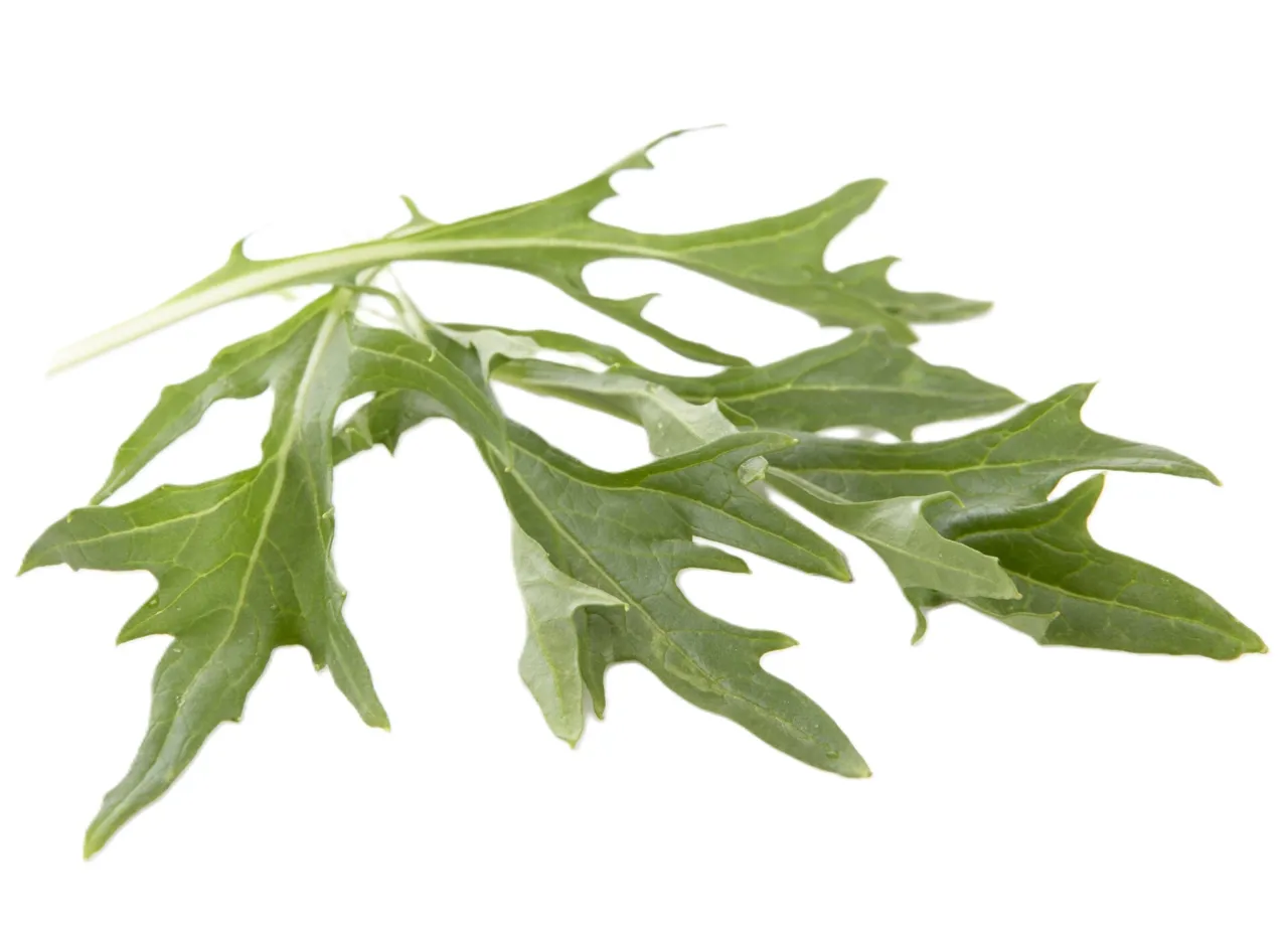SALAT MIZUNA 100G