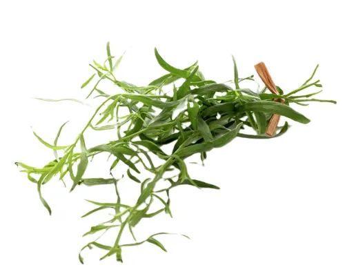 Urter Estragon 10x100g Kg