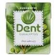 DENT EUCALYPTUS 24G