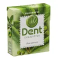 DENT EUCALYPTUS 24G