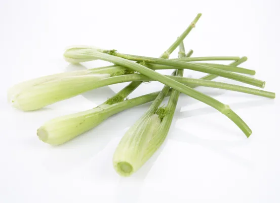 FENNIKEL MINI 400G FENNIKEL MINI 400G