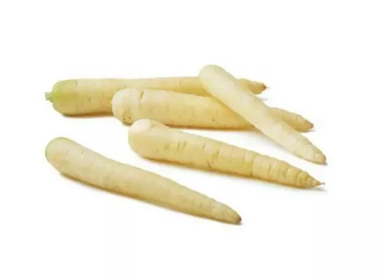 GULROT HVIT KG GULROT HVIT KG