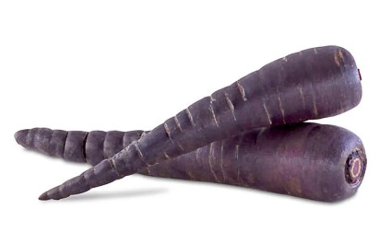 GULROT LILLA KG