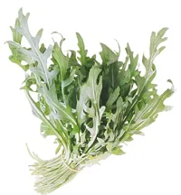 SALAT RUCCOLA VASKET 500G