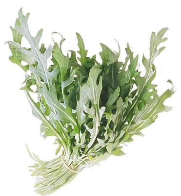SALAT RUCCOLA VASKET 500G SALAT RUCCOLA VASKET 500G