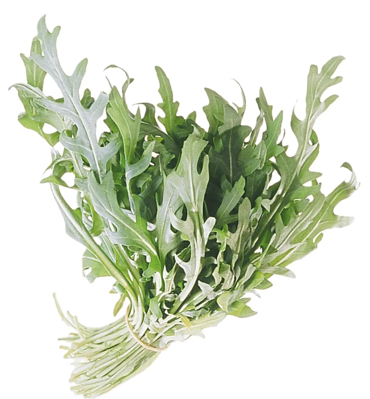 SALAT RUCCOLA VASKET 500G