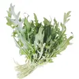 SALAT RUCCOLA VASKET 500G