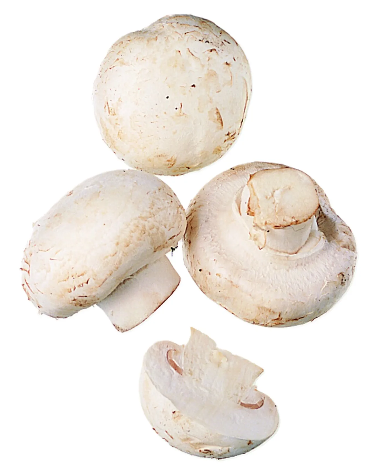 SOPP CHAMPIGNON SKIVET KG