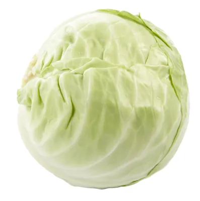 HODEKÅL KUTTET/TERNING KG HODEKÅL KUTTET/TERNING KG