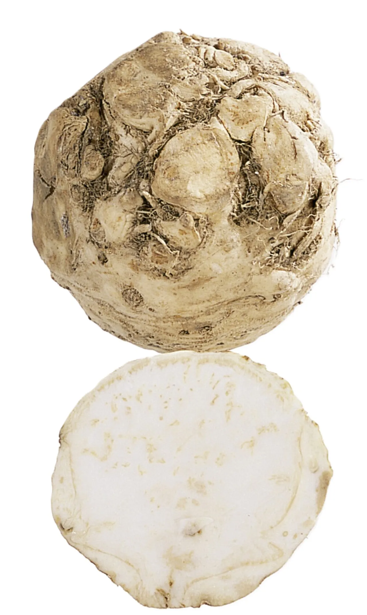 SELLERIROT SKRELT KG